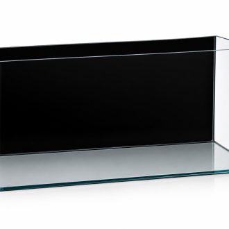 09f565dd5750.jpg