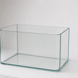 2deea339cf03.jpg