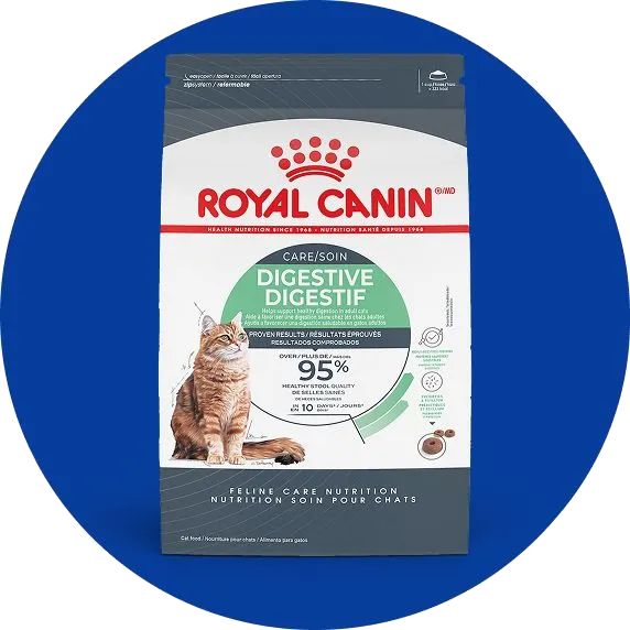 Cat Food