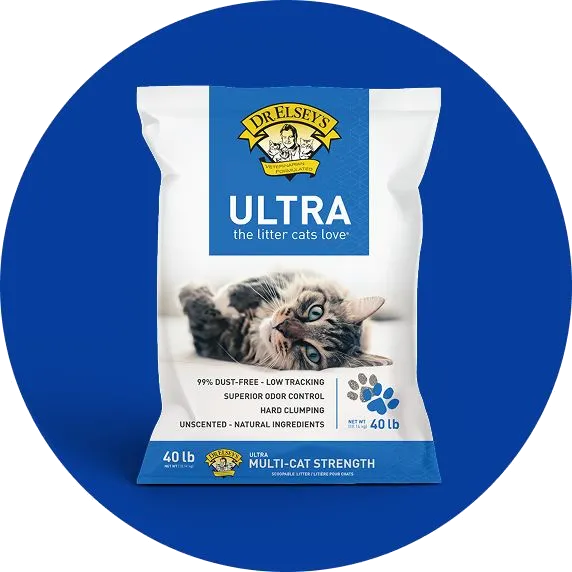 Cat Litter