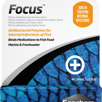 0641 Focus 5 g.png
