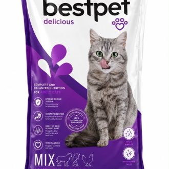 Dry Cat Food