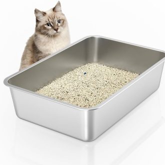 Cat Litter