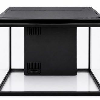 Small Freshwater Aquariums