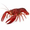 Red lobster