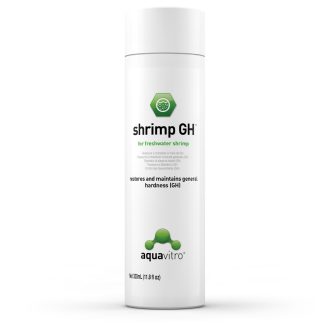 Shrimp GH.jpg